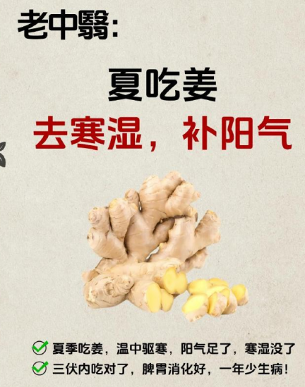 夏吃姜_168.png
